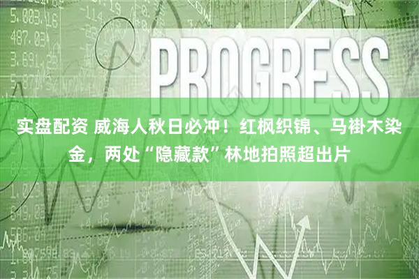 实盘配资 威海人秋日必冲！红枫织锦、马褂木染金，两处“隐藏款”林地拍照超出片