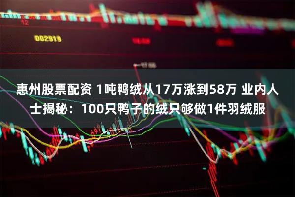惠州股票配资 1吨鸭绒从17万涨到58万 业内人士揭秘：100只鸭子的绒只够做1件羽绒服